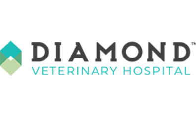 Diamond Veterinary Hospital-HeaderLogo